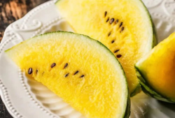 吃瓜爆料就看红料社区,吃瓜爆料，红料社区带你探秘明星幕后